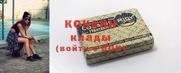 индика Арсеньев