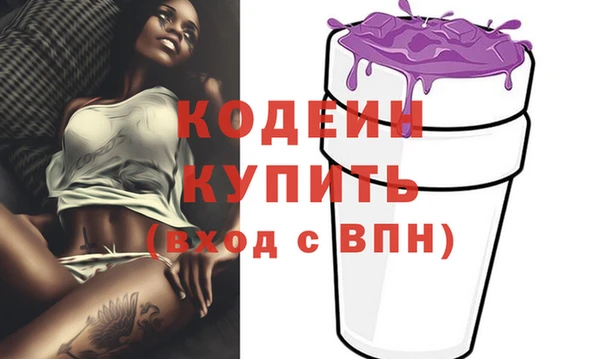 индика Арсеньев