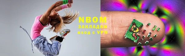 индика Арсеньев