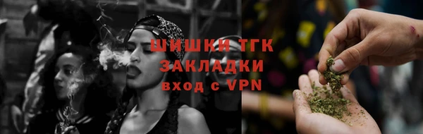 индика Арсеньев
