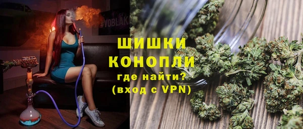 spice Аркадак