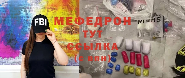 индика Арсеньев