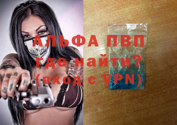 индика Арсеньев