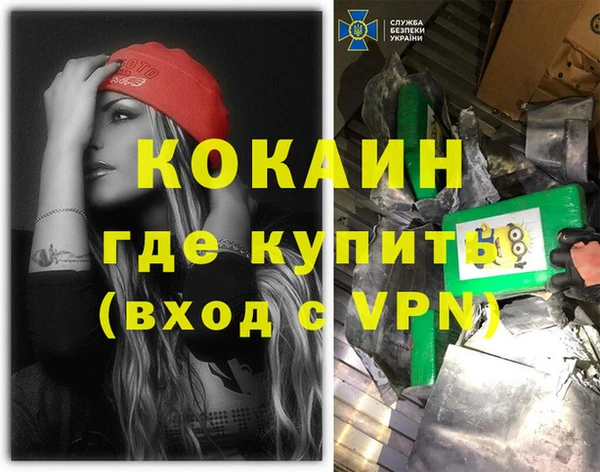 индика Арсеньев