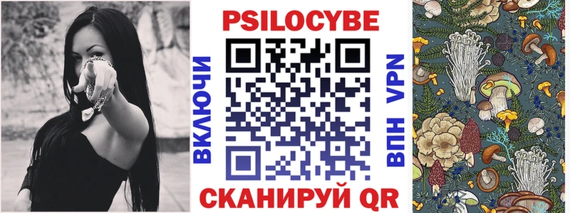 даркнет сайт Боготол Псилоцибиновые грибы Cubensis